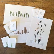Green Bird Press