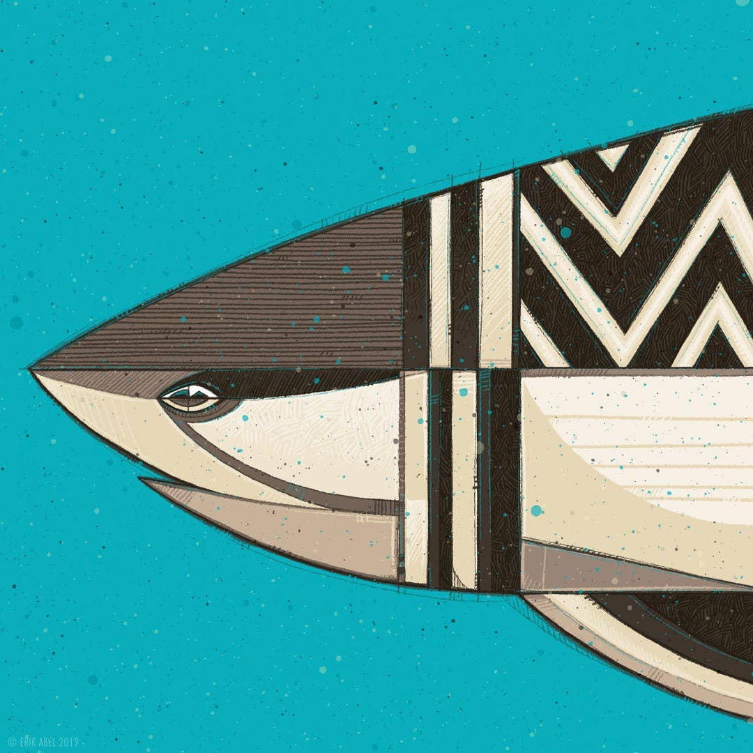 White Shark - WHLSL Print: Unframed / 12x6 / Canvas