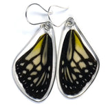 Danaus Aspasia Yellow Glassy Tiger Butterfly Earrings