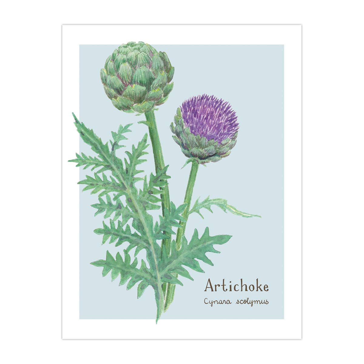 Artichoke Card - Botanical Vegetable Everyday Greeting Card