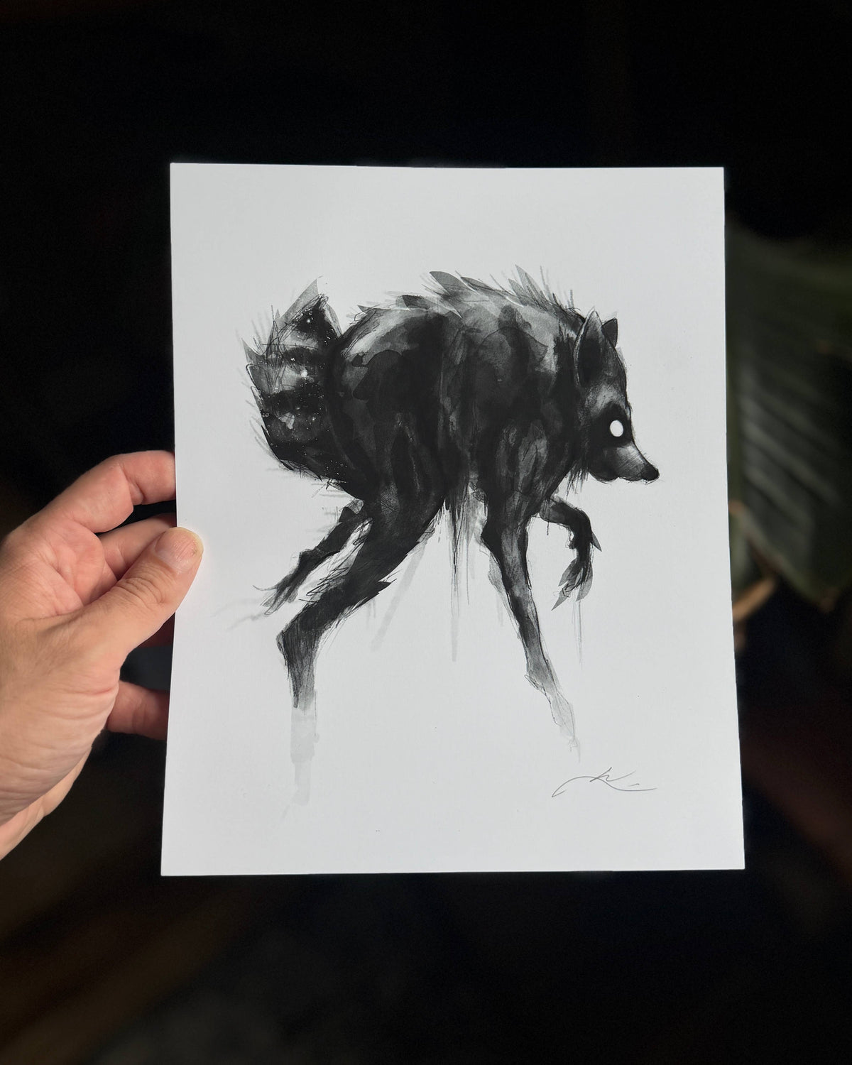 Jimothy: 11x14