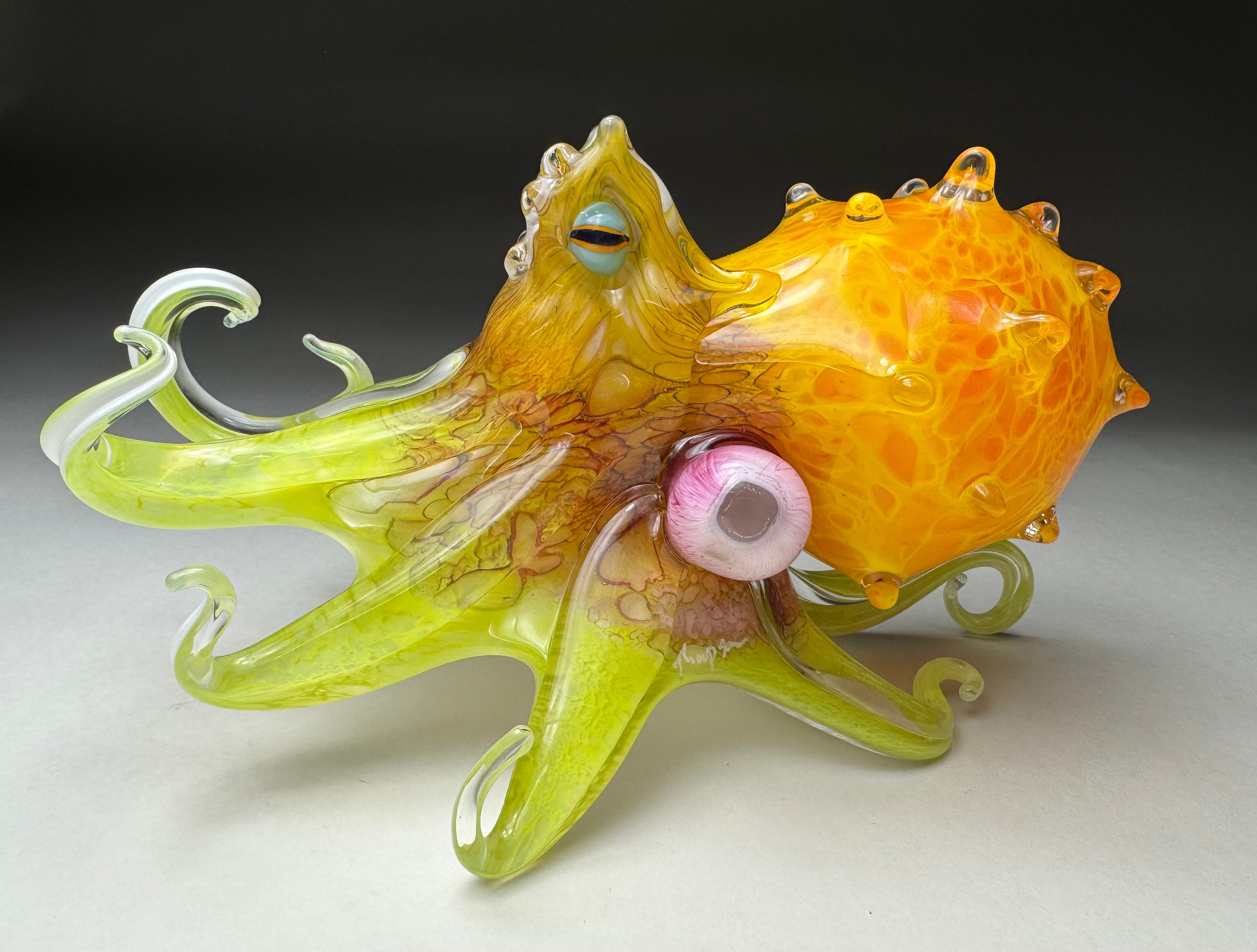 Sunset Octopus 10-10.5"