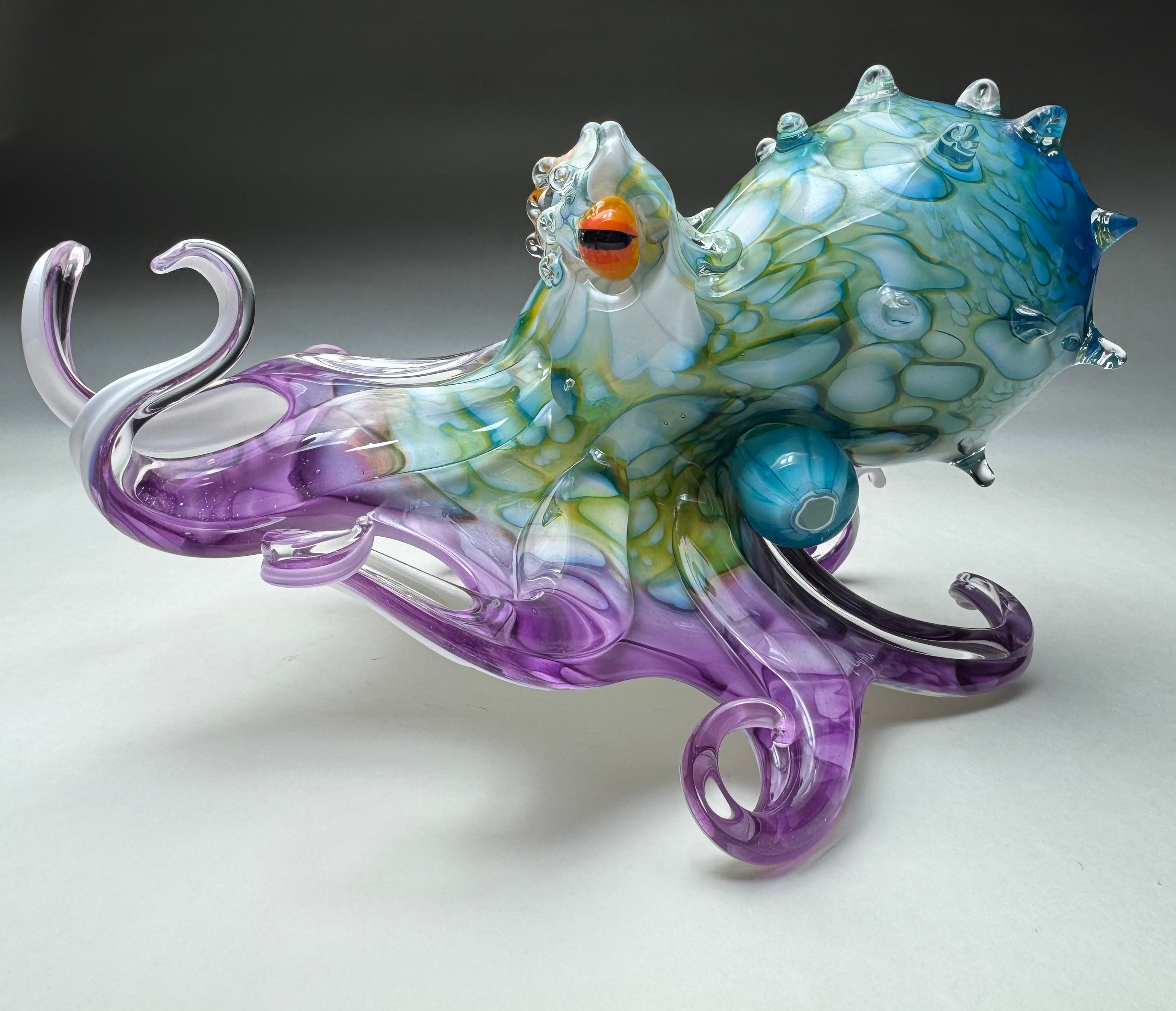 Molokini Octopus 10-10.5"