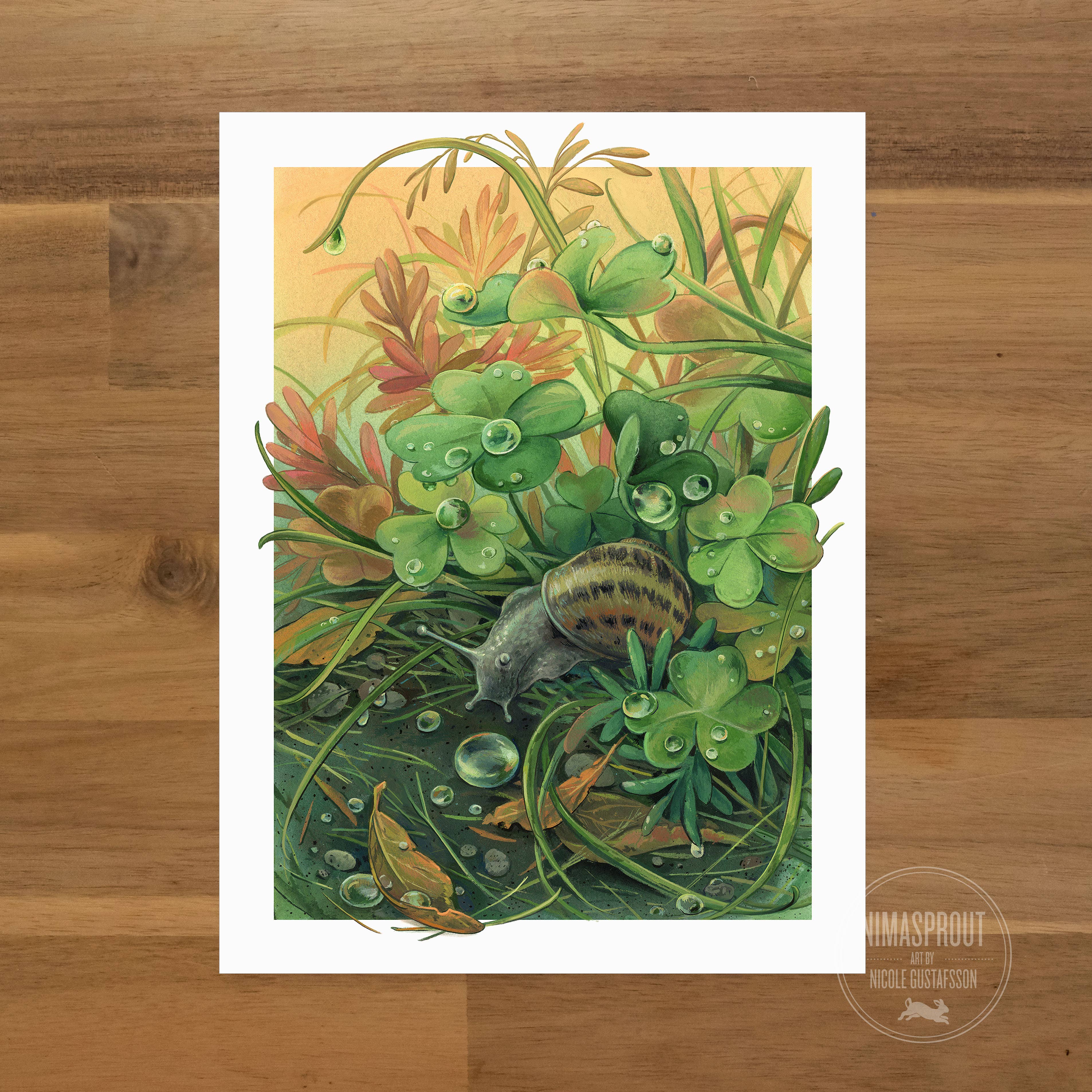 Garden Snail - Fine Art Print