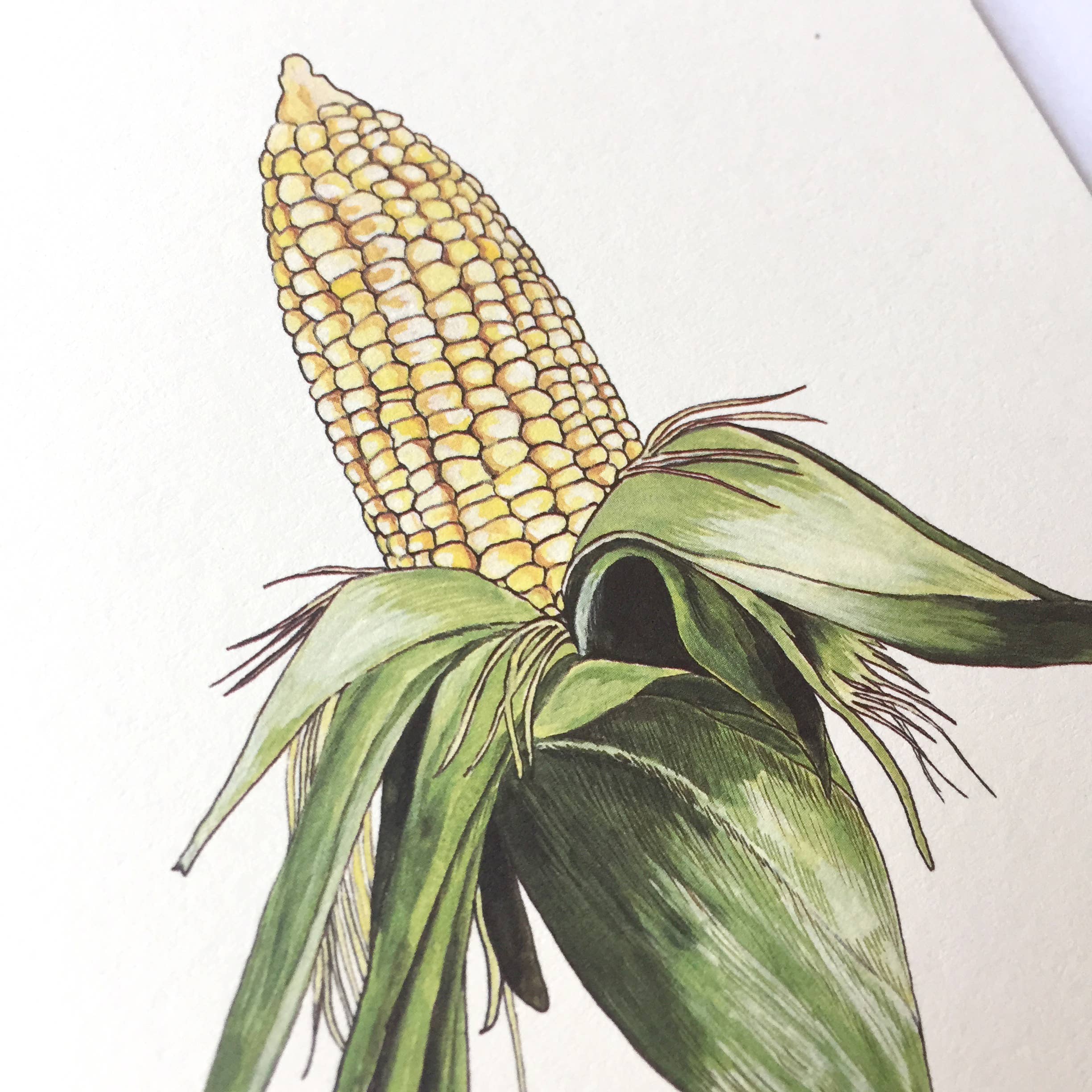 Corn Cob Card