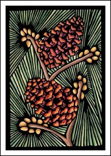 Greeting Card Pine Cones