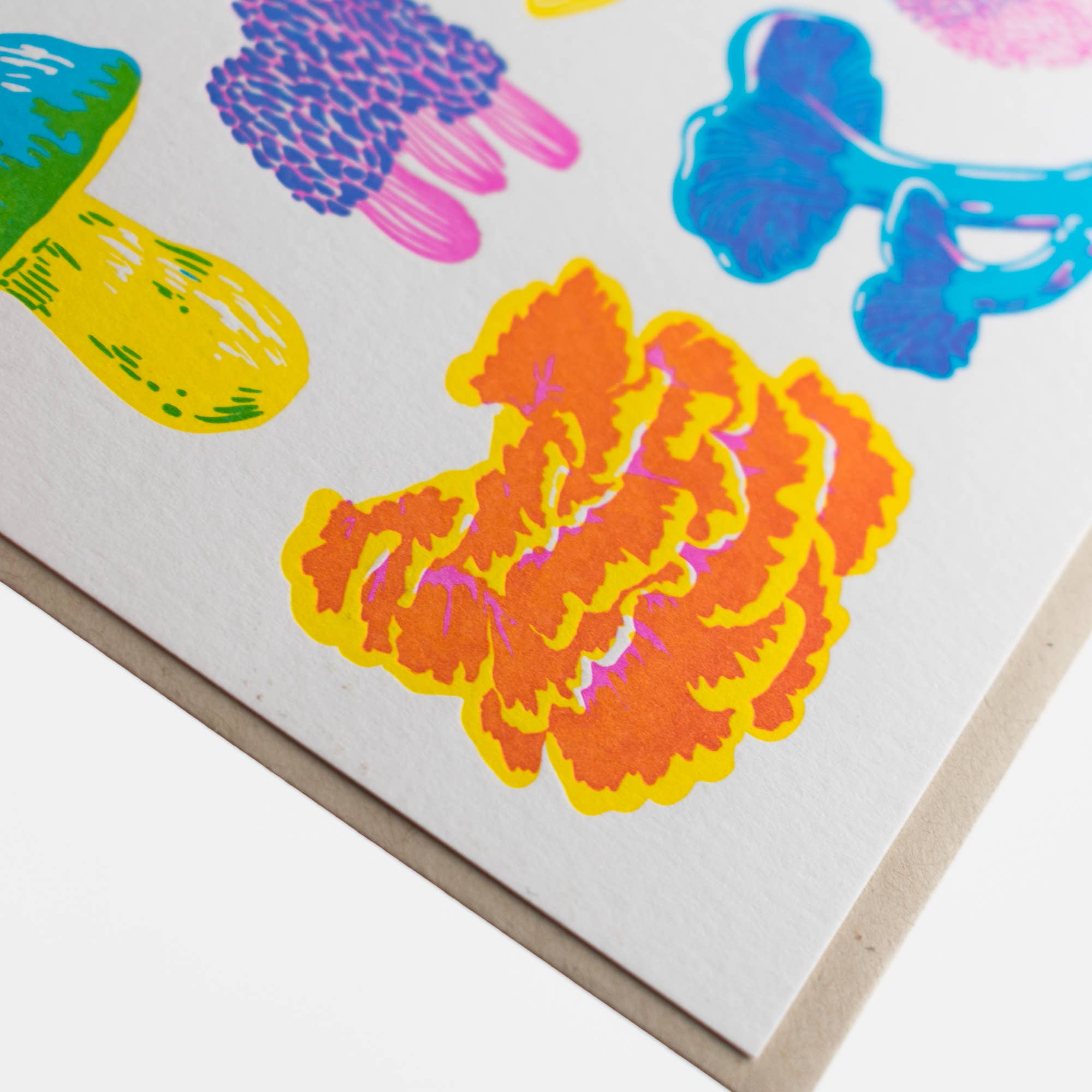 Vibrant Life Series - Fruiting Fungi Card: Single Card