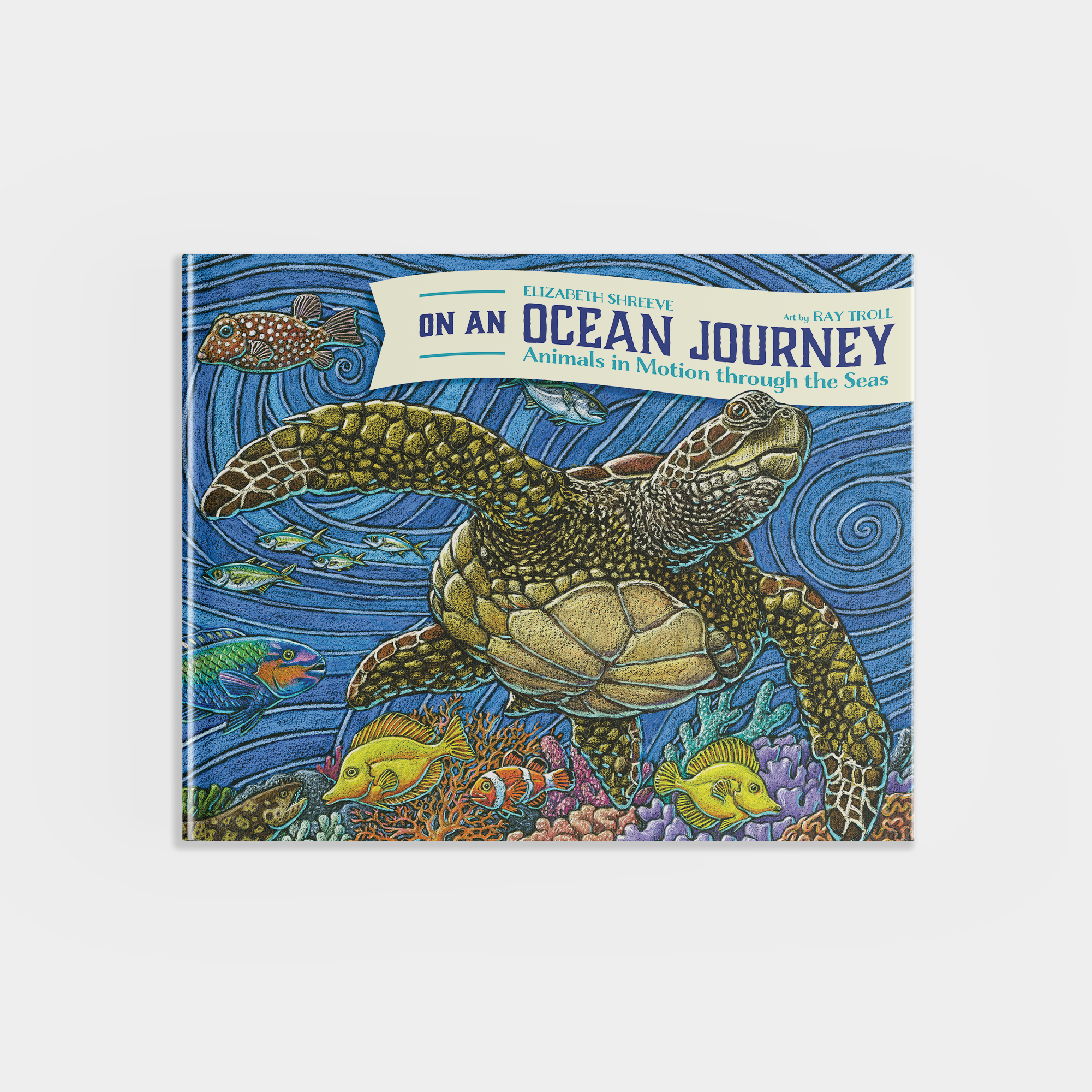 On An Ocean Journey: Animals in Motion through the Seas: Hardcover