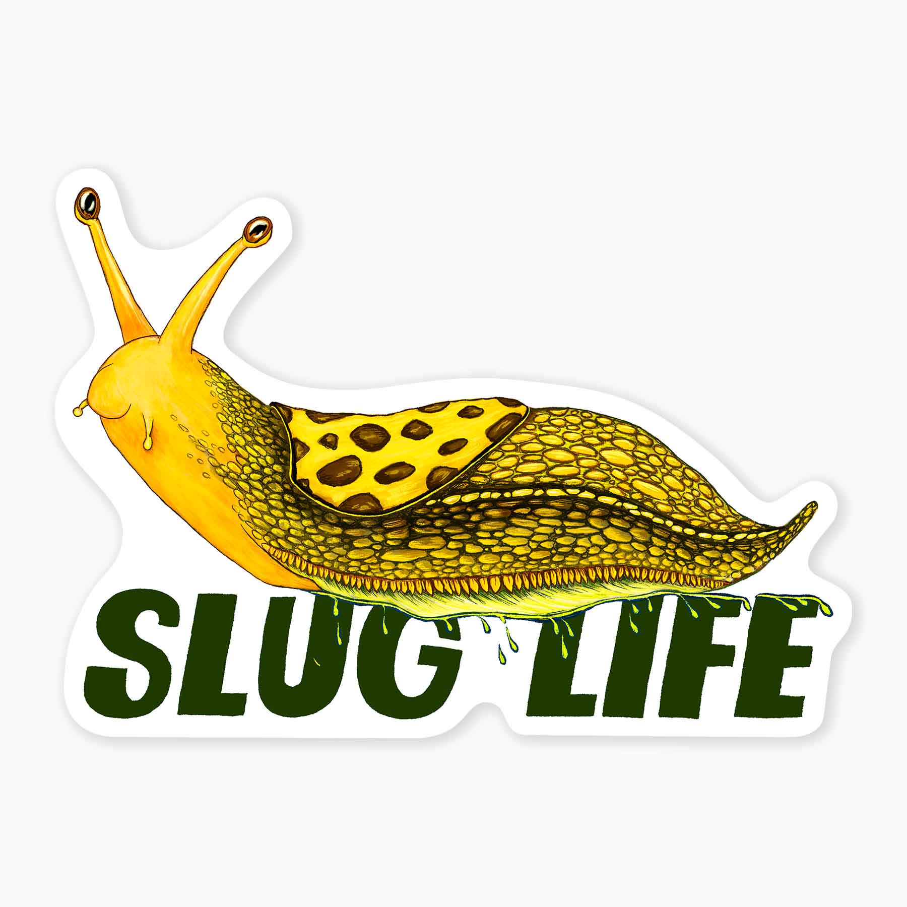 Banana Slug - 3" Art Sticker: No Barcode