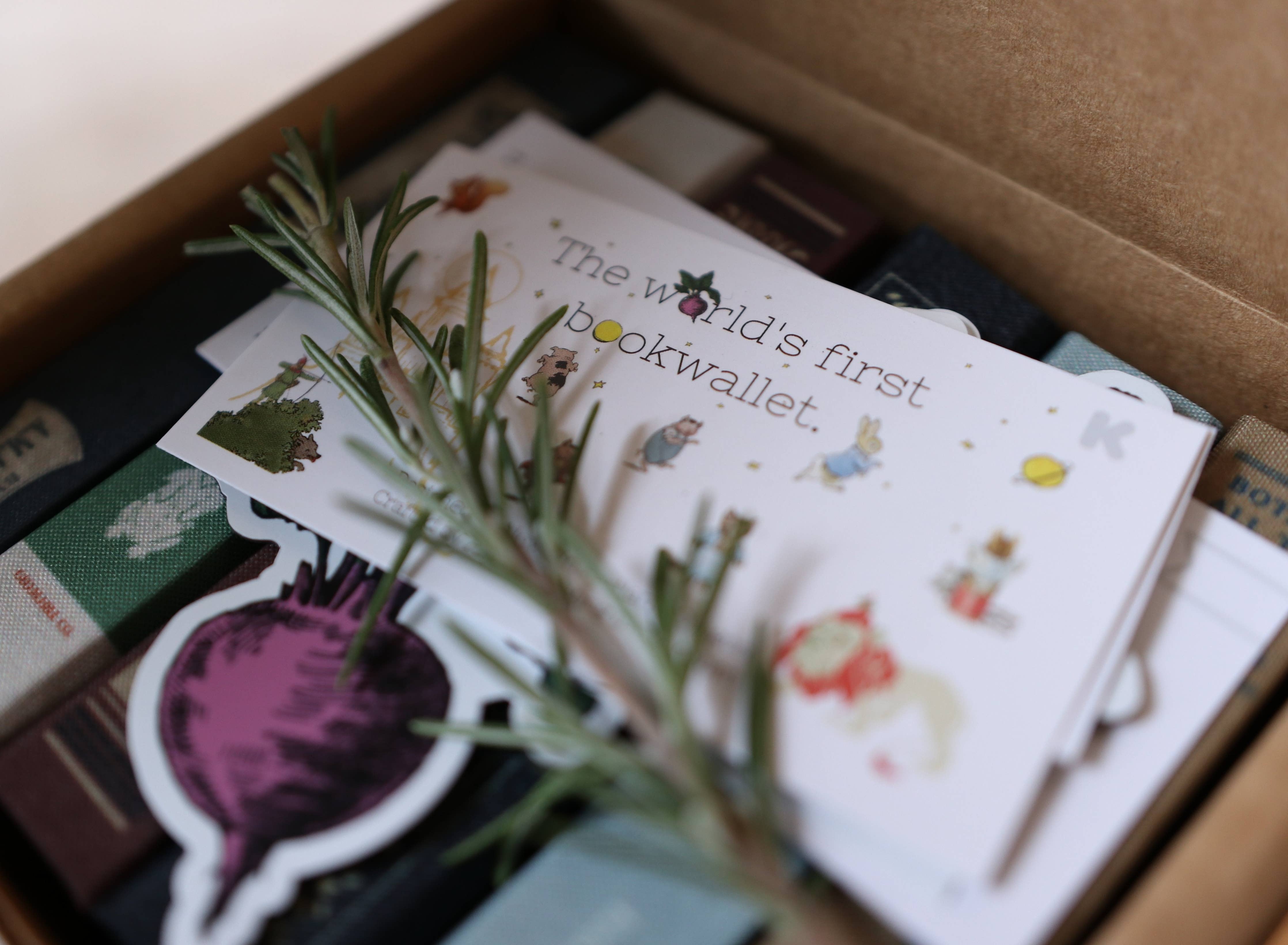 Treasure Island by Robert Louis Stevenson 1883 Book Wallet