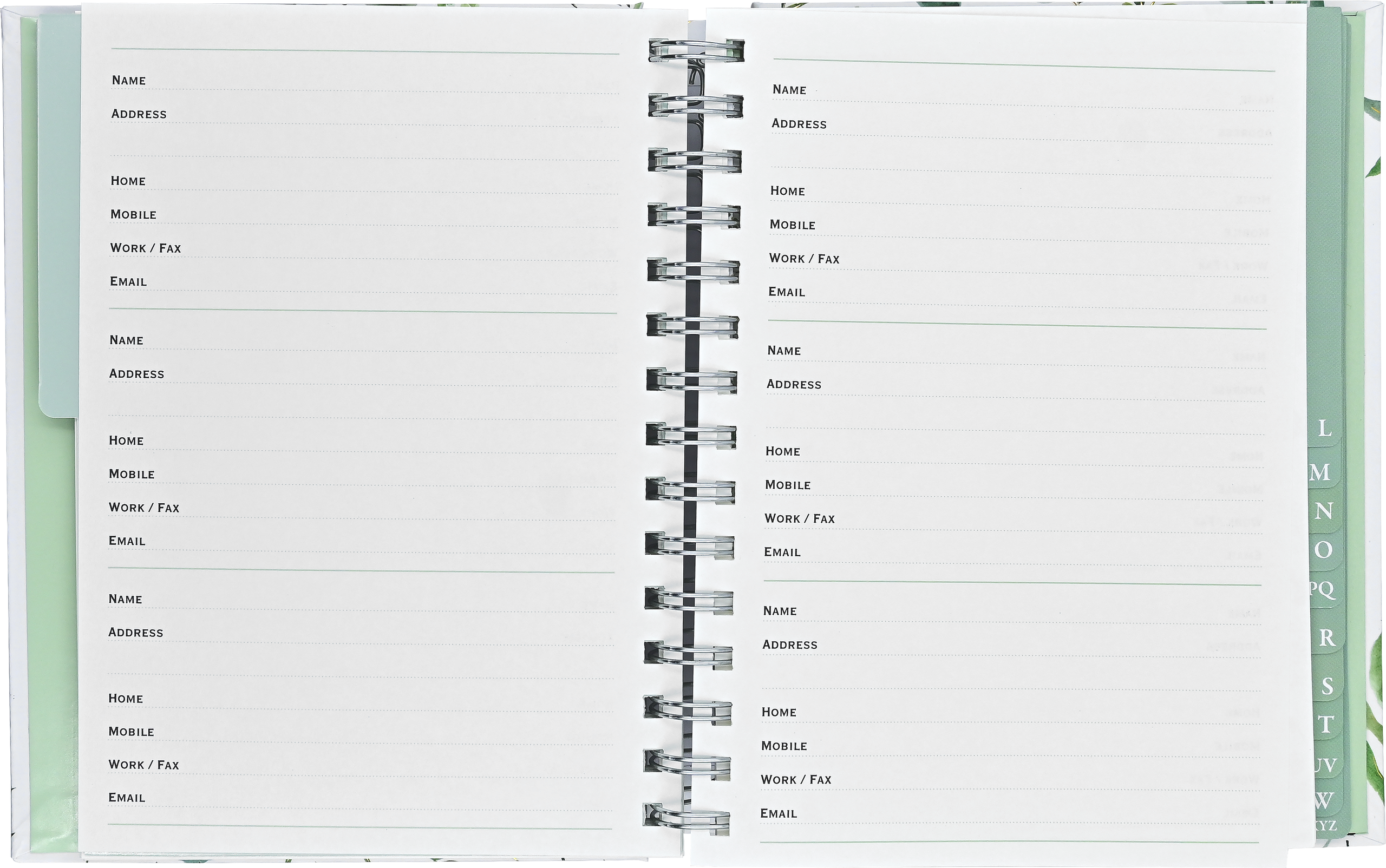 Eucalyptus Large Address Book