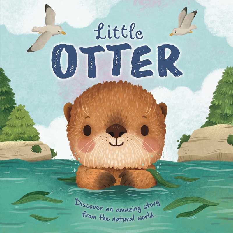 Nature Stories: Little Otter-Discover an Amazing Story from the Natural World by IglooBooks: Board Books; 24 pages / English