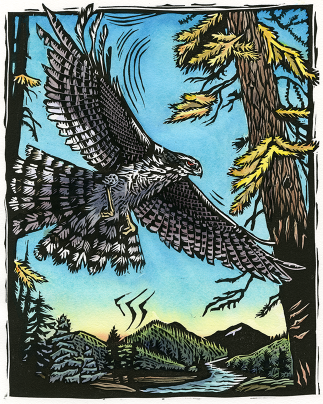 2026 Vitality Woodcut Calendar (6"x12")