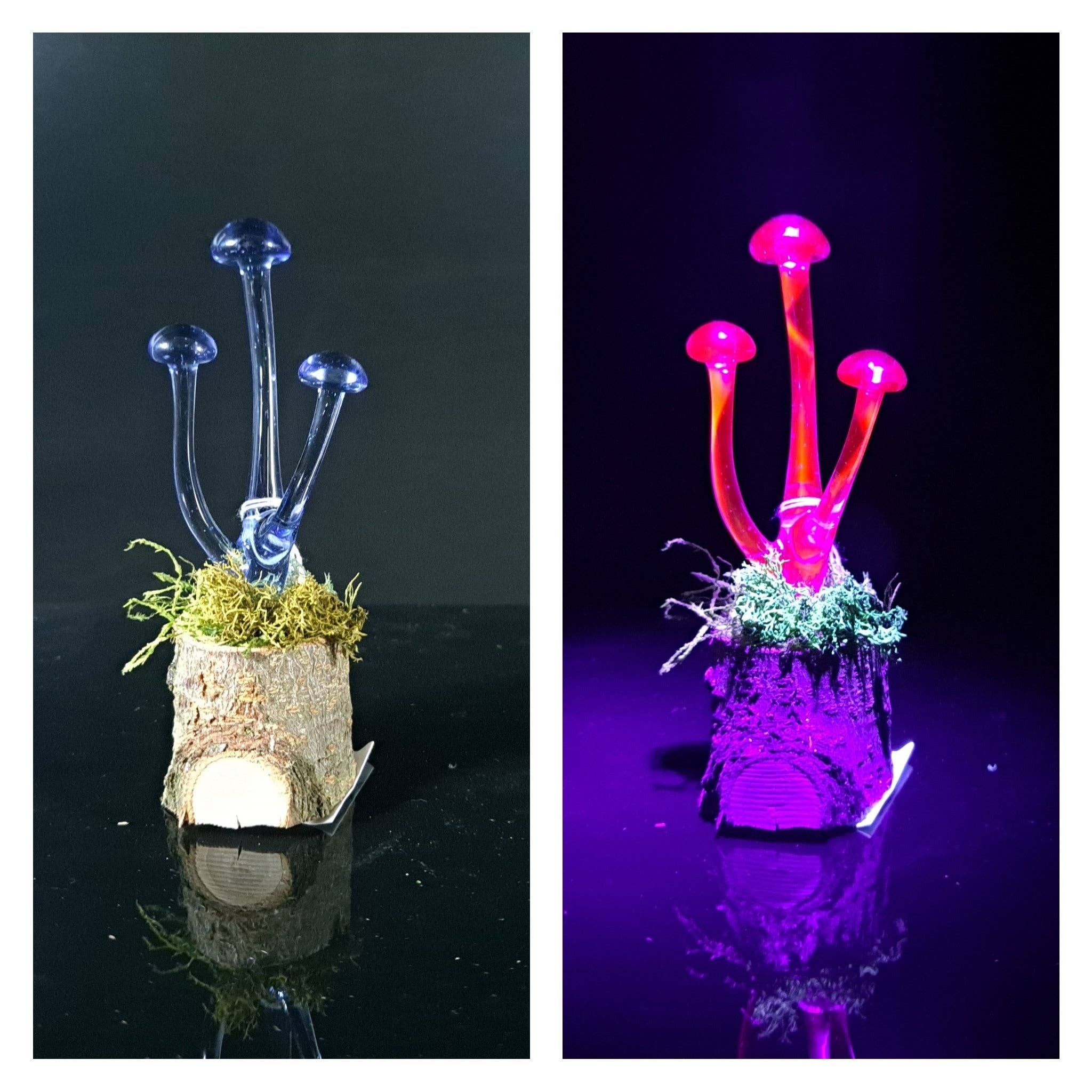 Mushroom Sculpture, UV Black Light, Made to Order: Atomic stardust