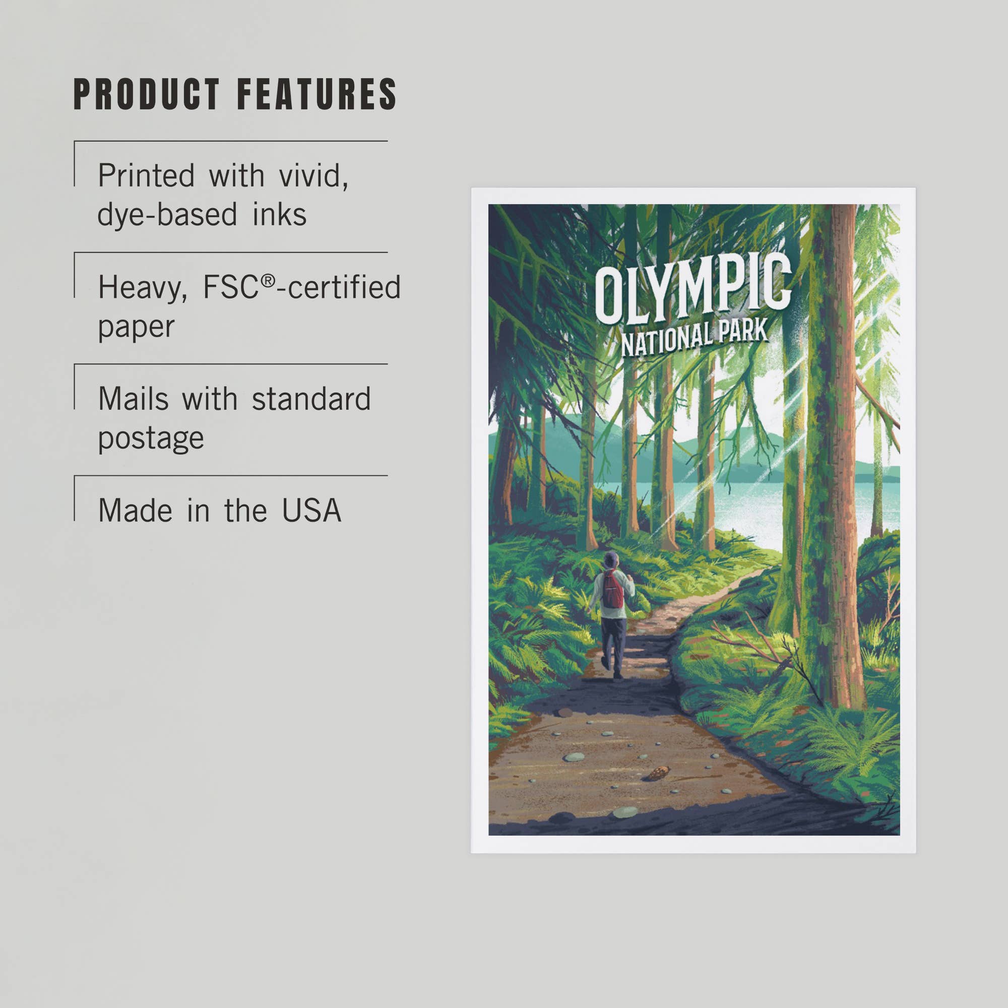 Olympic National Park, Walk in the Woods