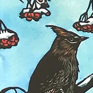 Waxwings - Basking in the Sun Card