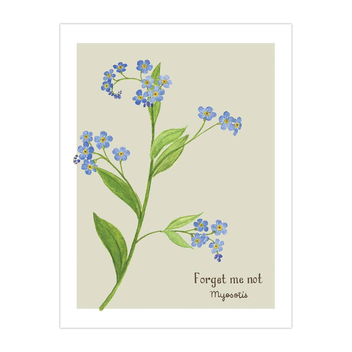 Forget Me Not Card - Botanical Everyday Greeting Card