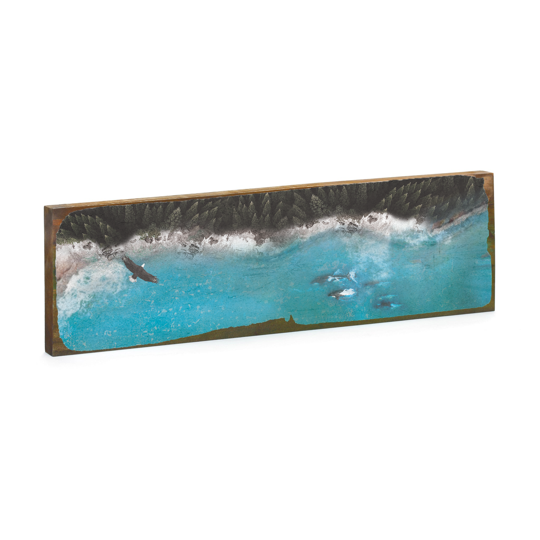 Orca Aerial - Timber Wall Art: Original