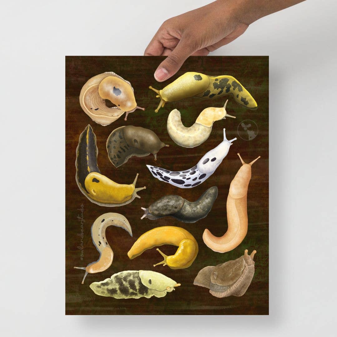 A Dozen Banana Slugs Poster - Art Print (Multiple Sizes): 11x14