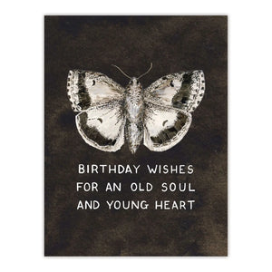 Moth Birthday Wishes - Vintage Sweet Birthday Card