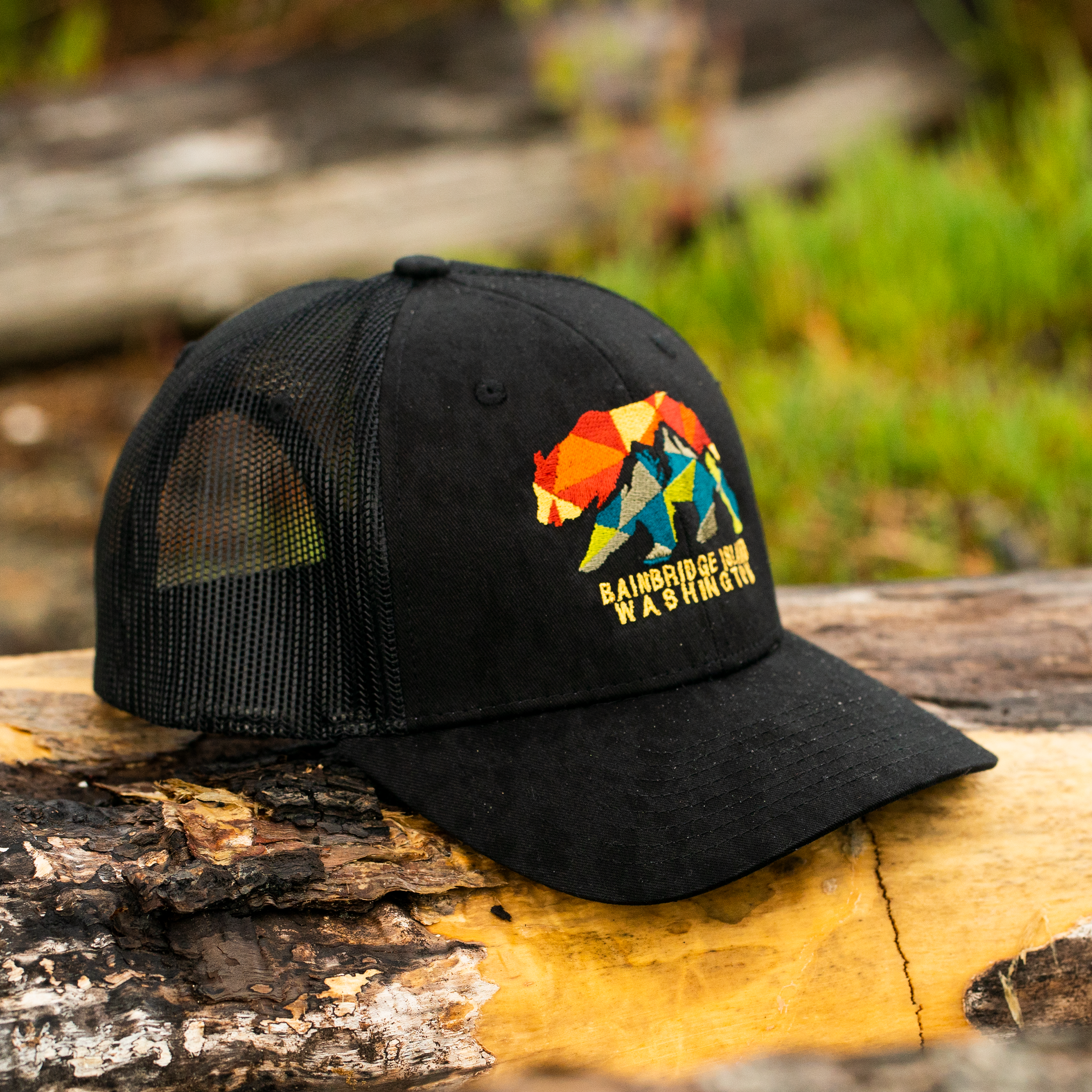 Bainbridge Island Remnant Bear/Mountains | Black Hat