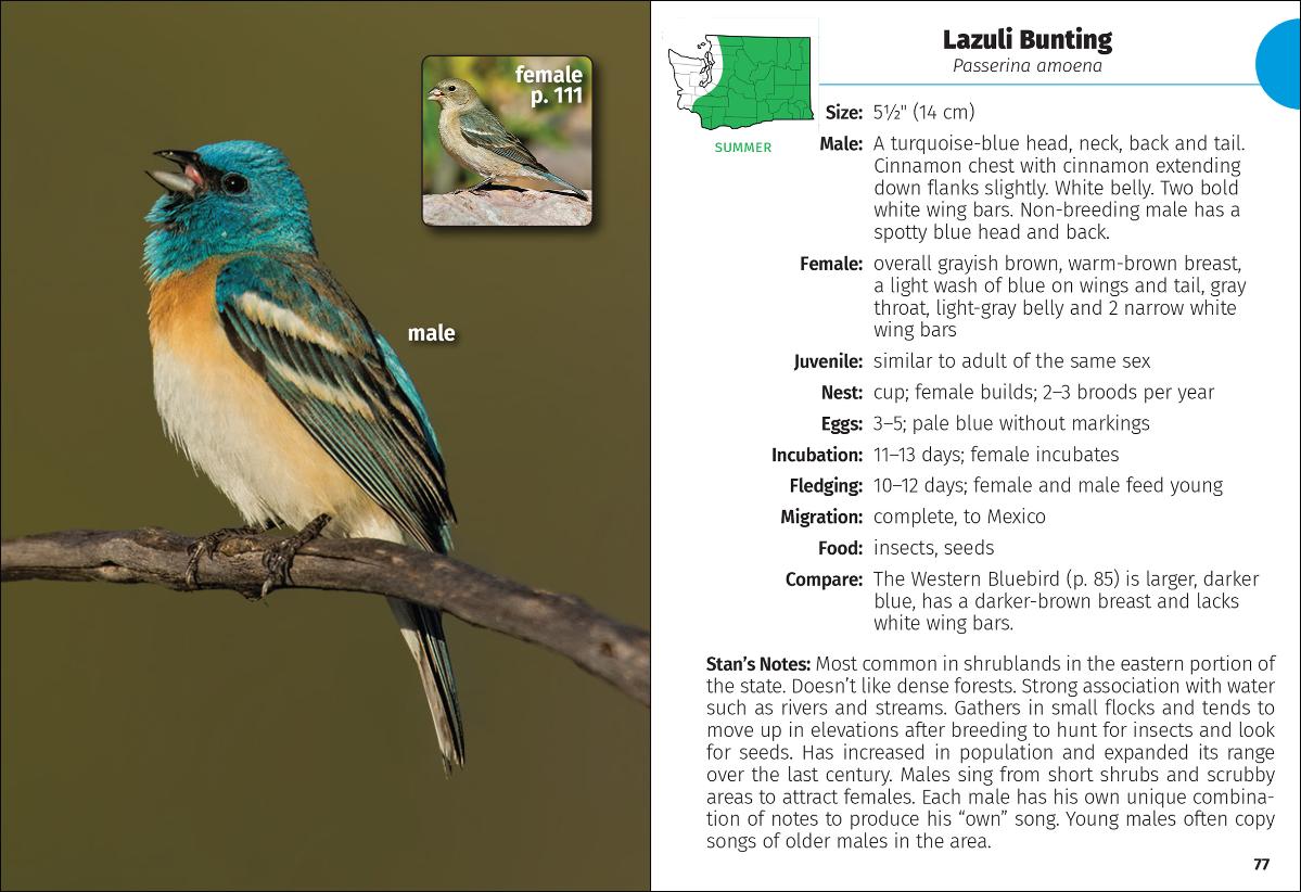 Birds of Washington Field Guide (2nd Edition)