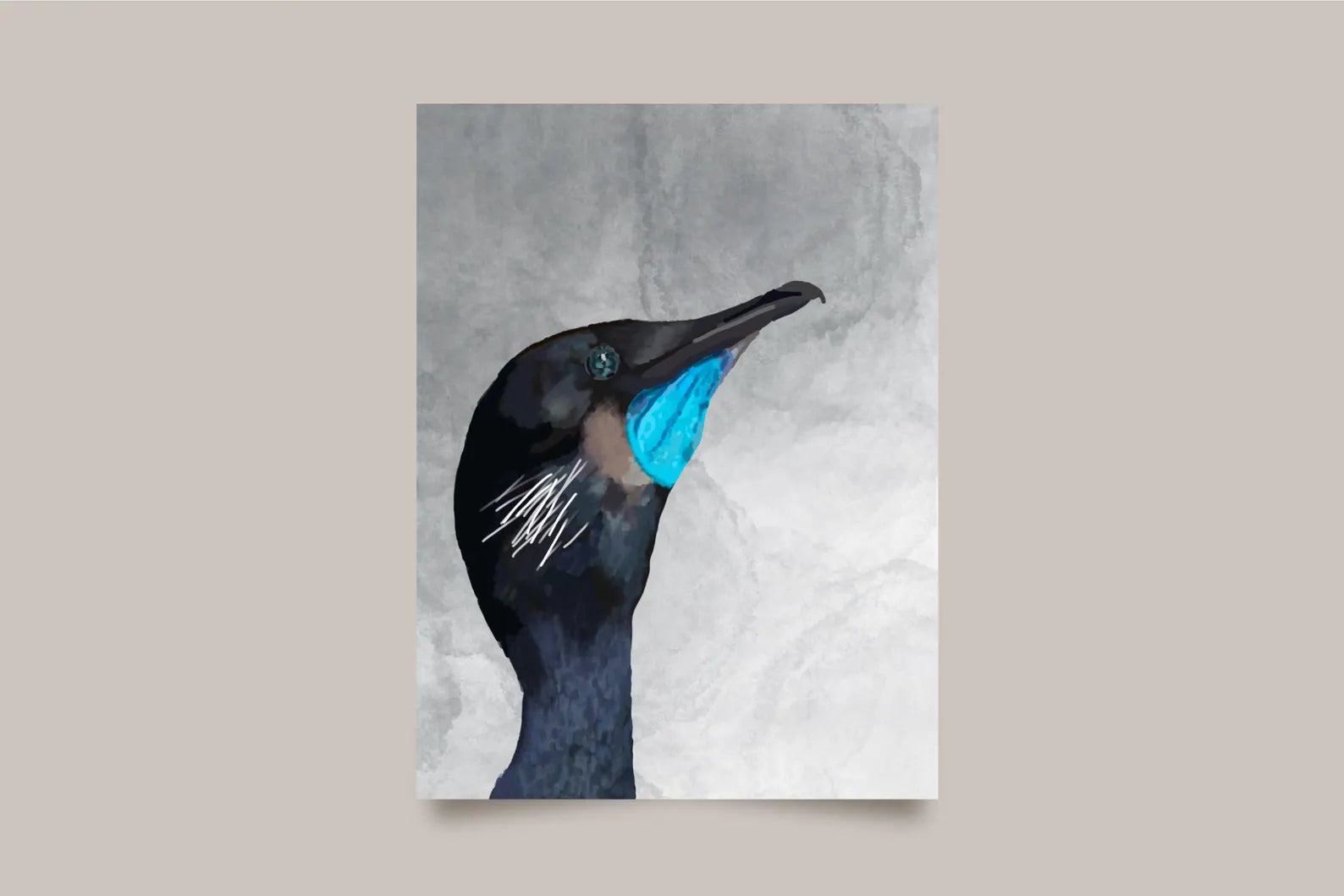 Brandt’s Cormorant Card