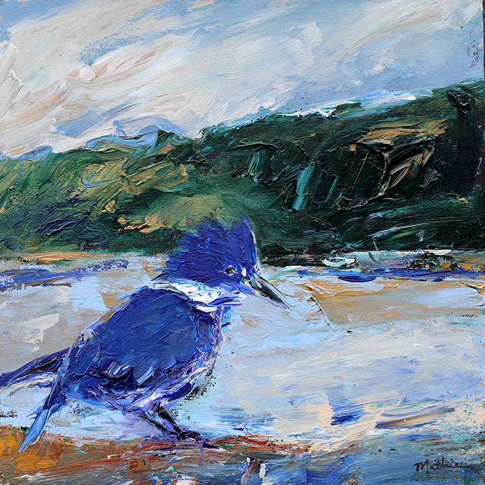"Coastal Kingfisher, I"