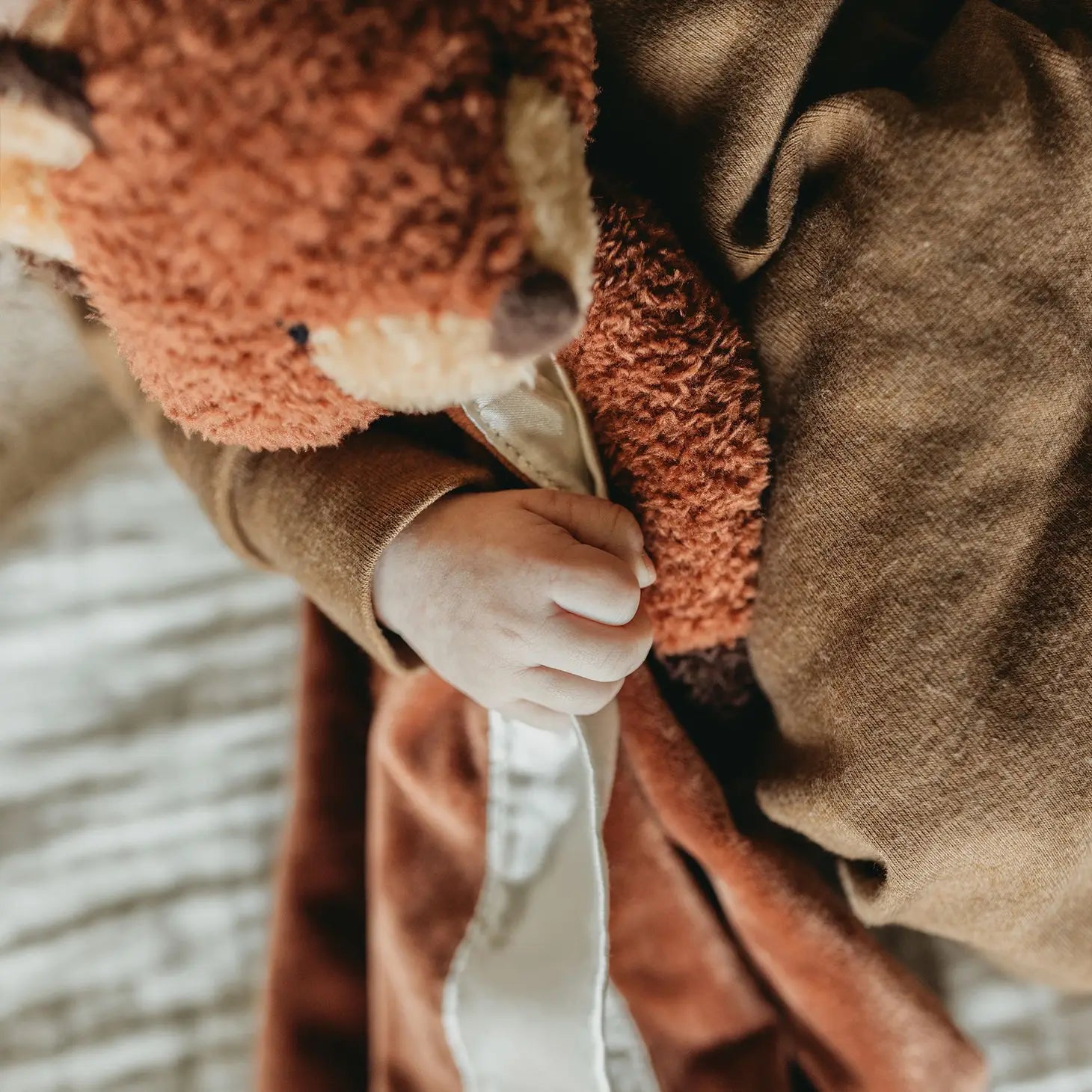 Fox Buddy Blanket