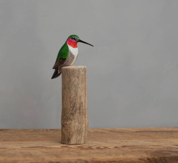Hummingbird (Perched) 7.5