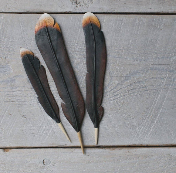 Cormorant Feather's Painted