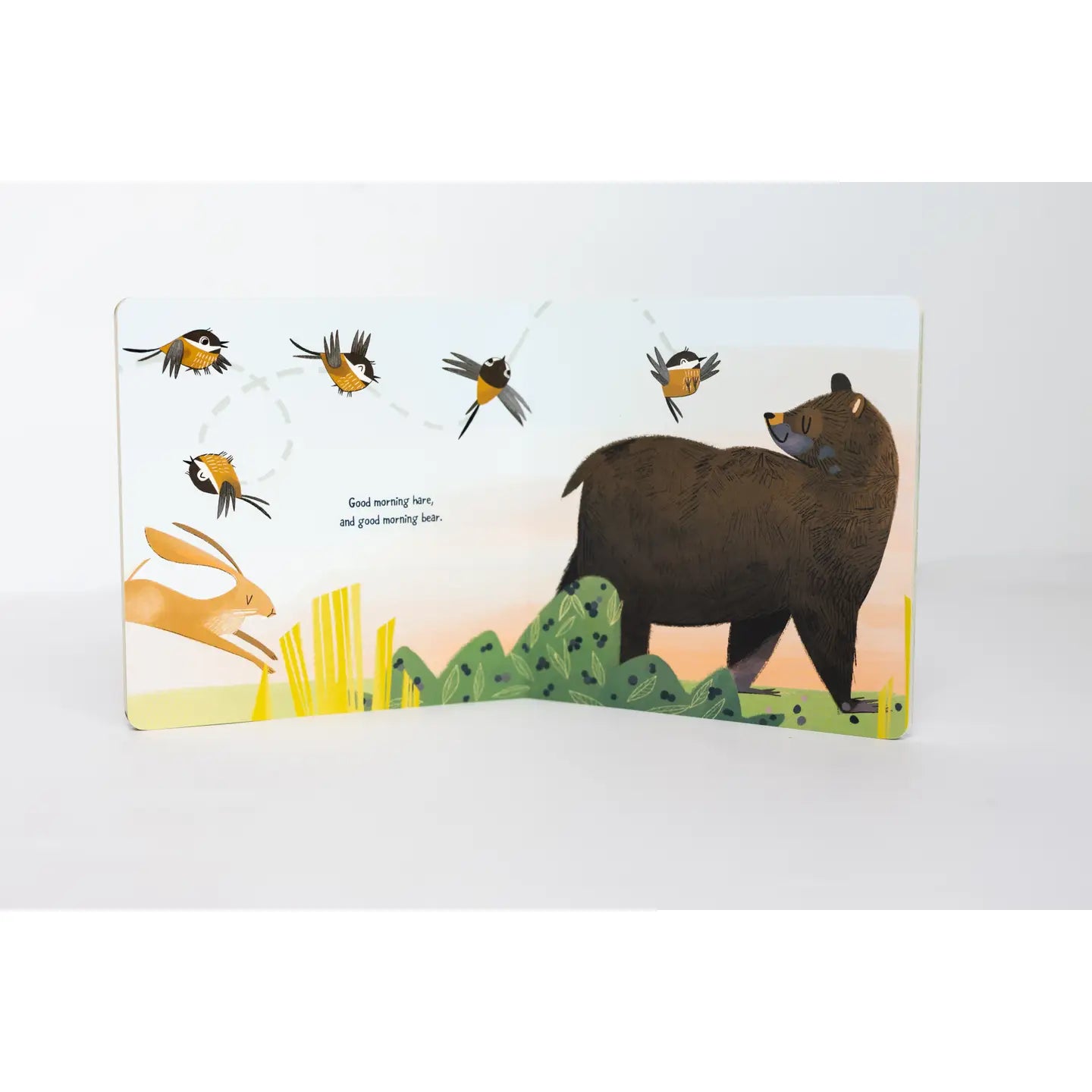 Good Morning, Mother Nature (Board Book)