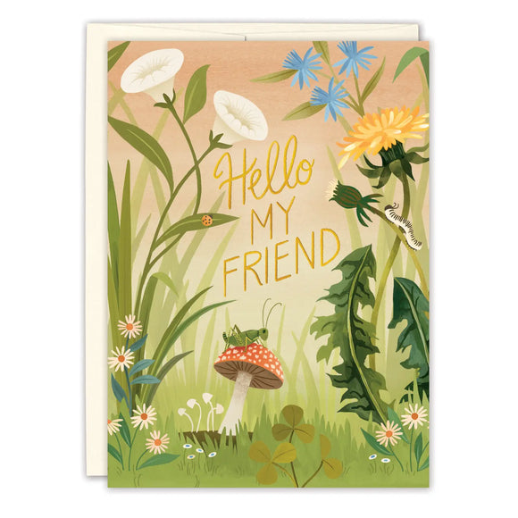 Hello My Friend Friendship Card