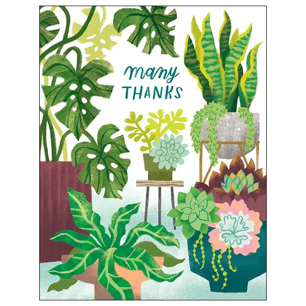 Houseplants Card