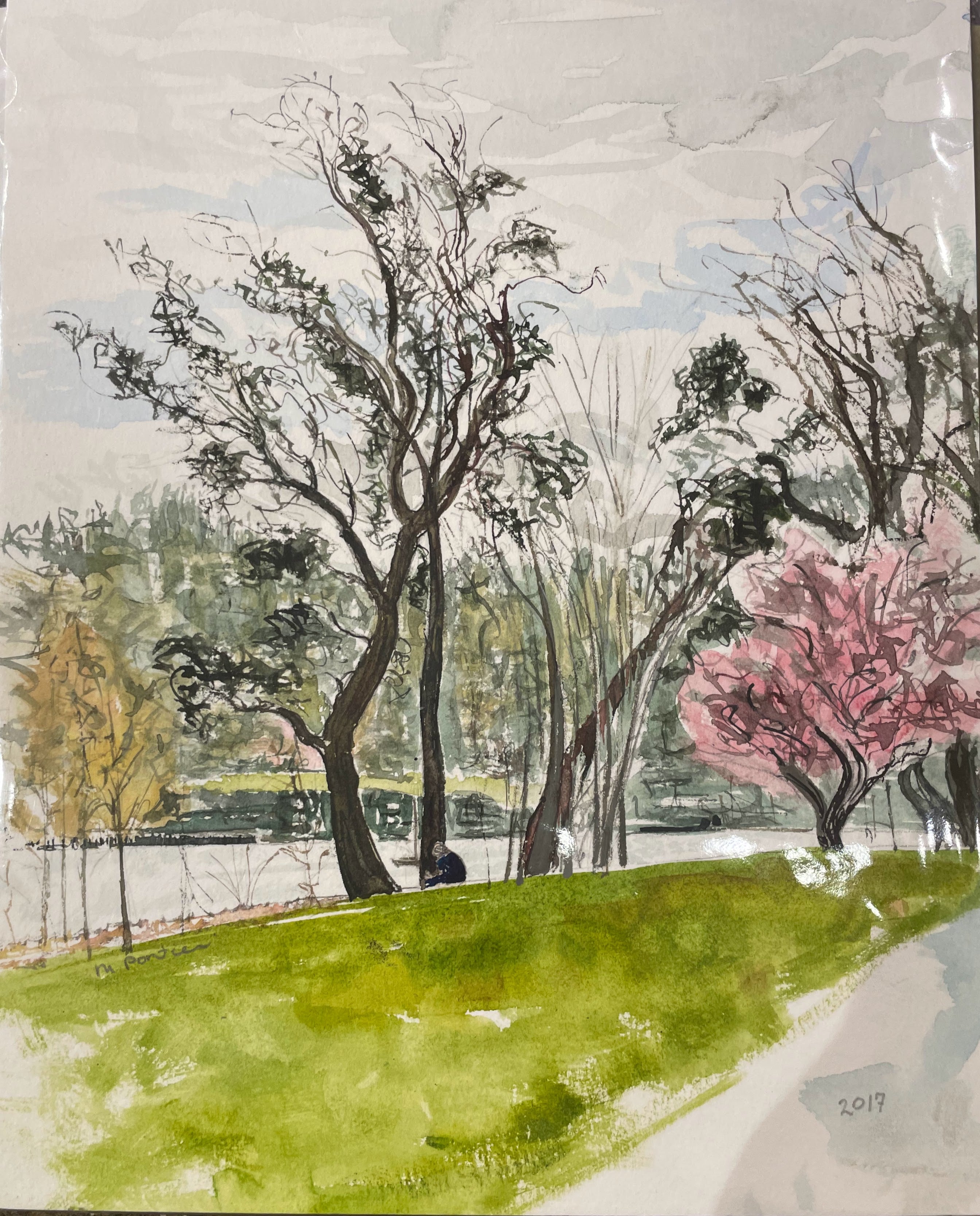 Water Front Park 2017 | Pontieri