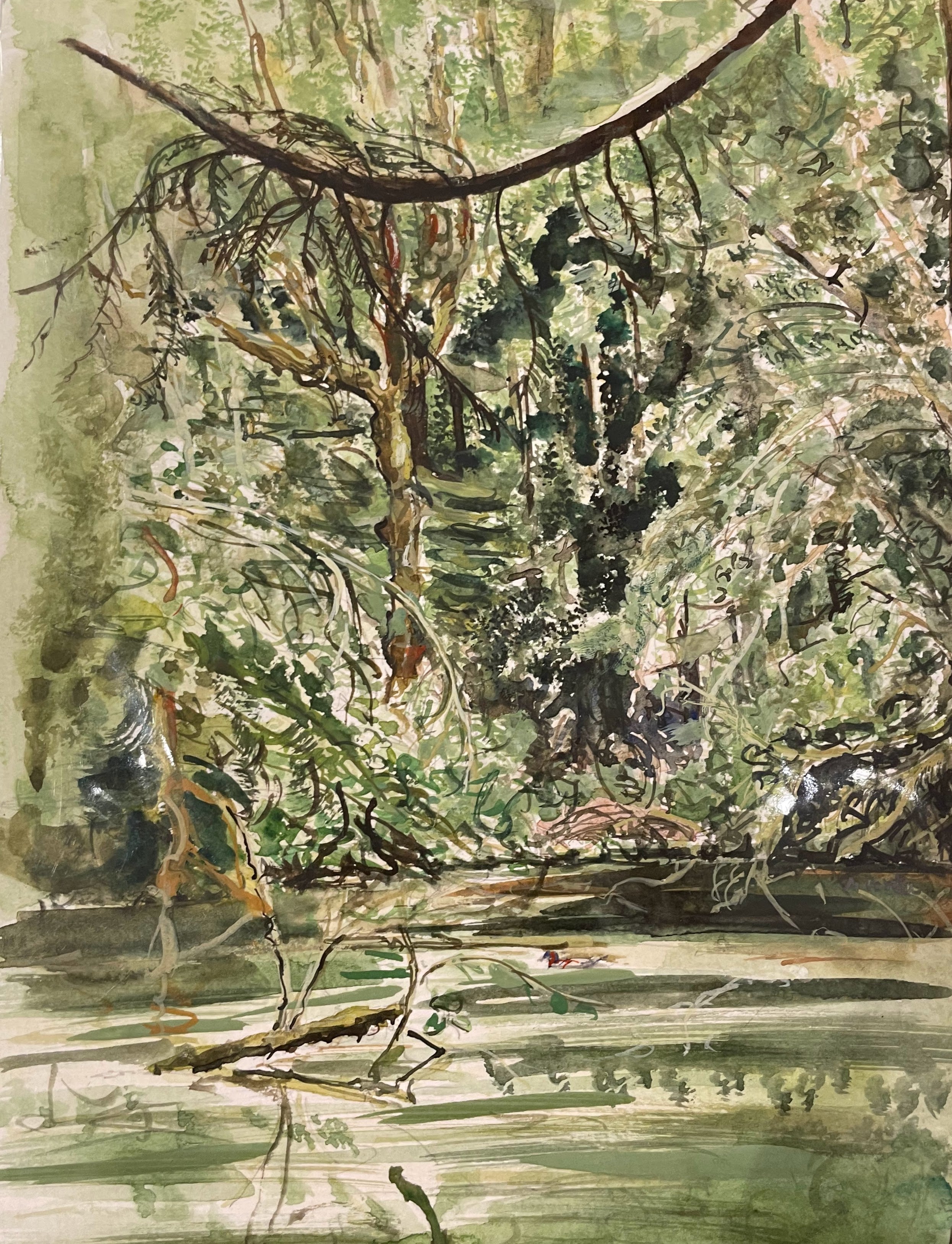 Grand Forest Pond 2021 | Pontieri