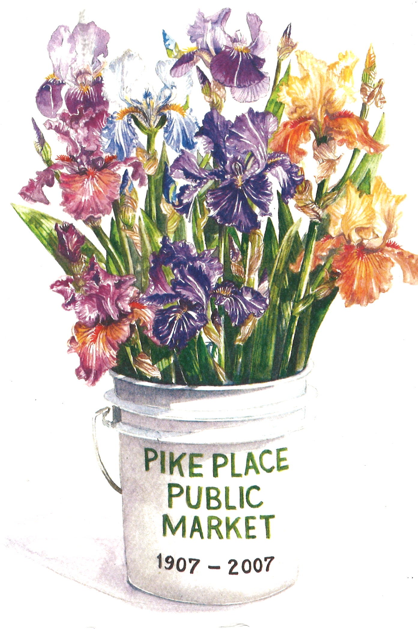 Pike Place Flower Bucket Greeting Cards