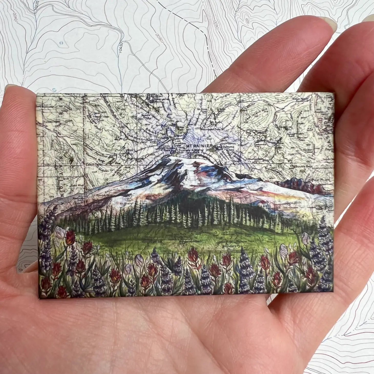 Washington Mt Rainier Magnets Rainier Wildflowers
