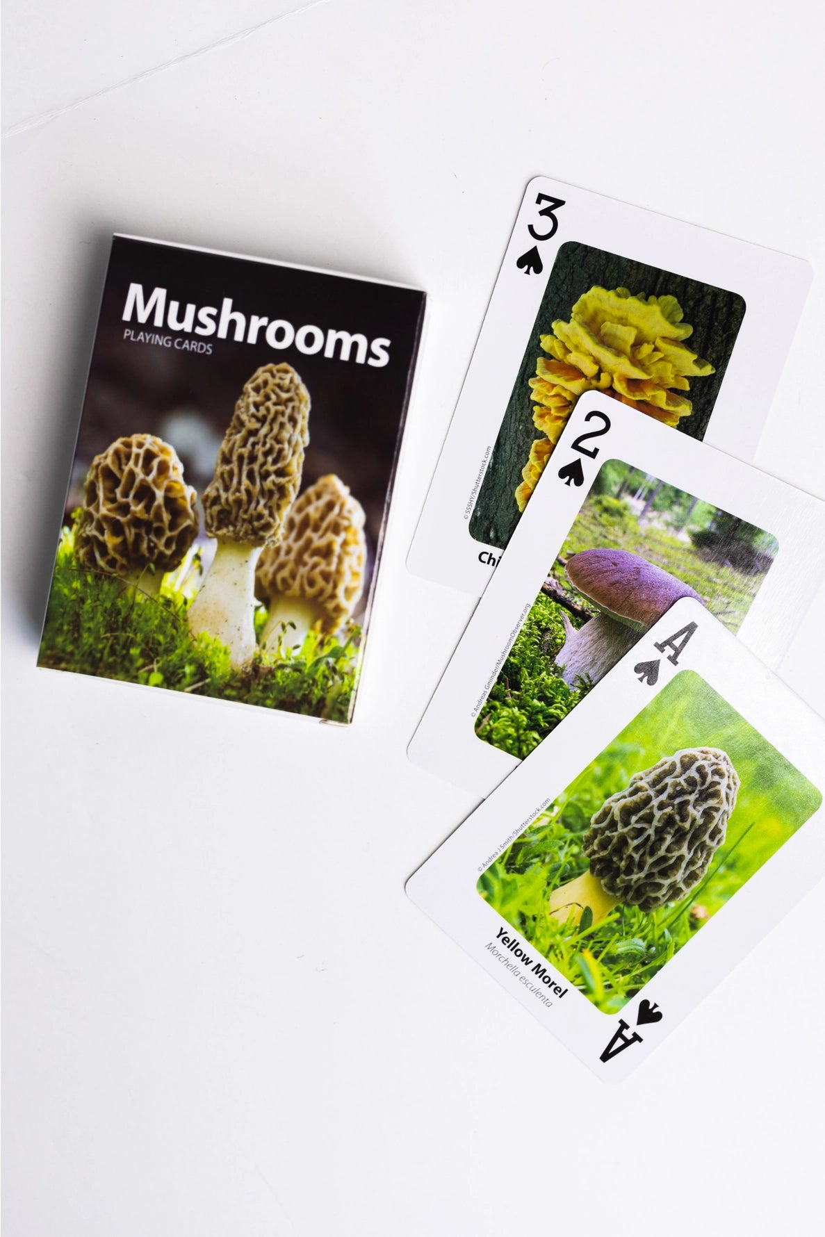 Mushrooms Playing Cards