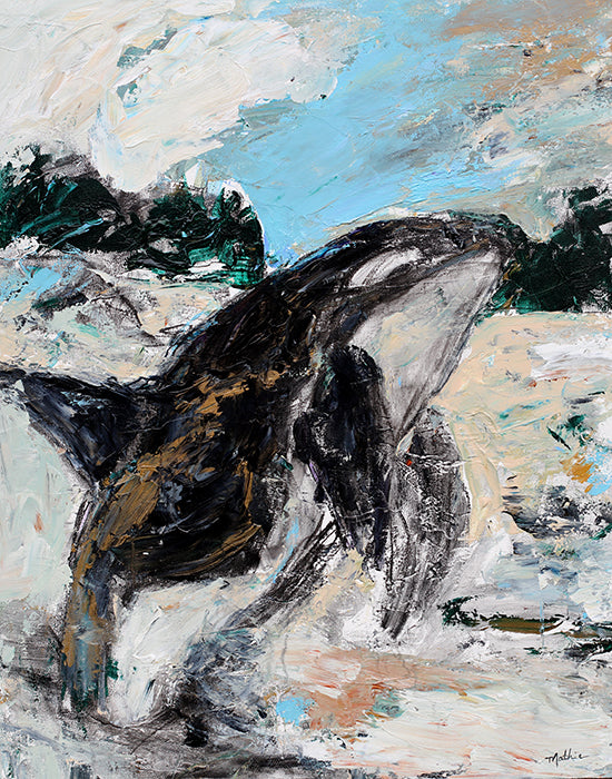 "Orca Love- Study" Christopher Mathie Fine Art