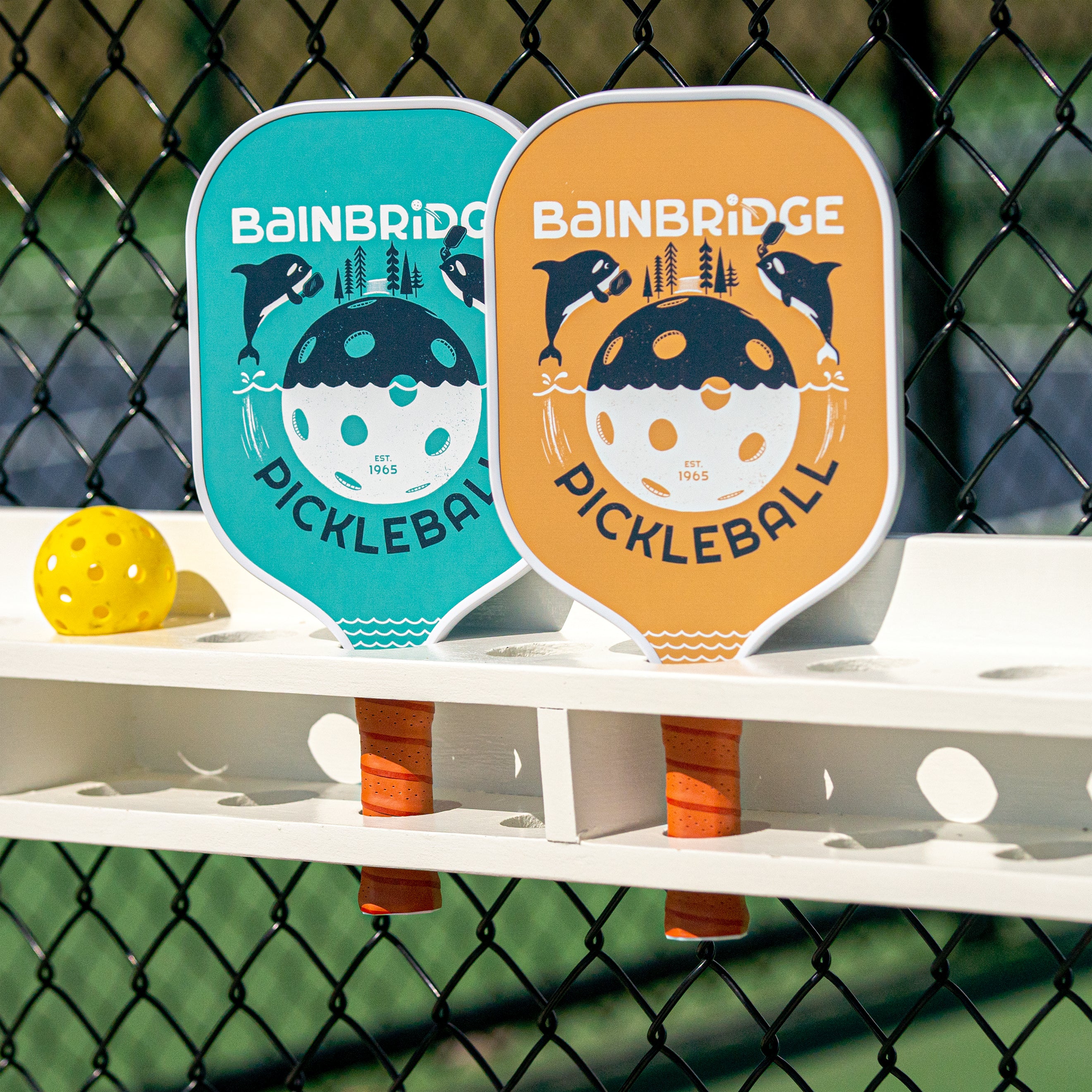 Bainbridge Orca Pickleball Paddle - Seafoam