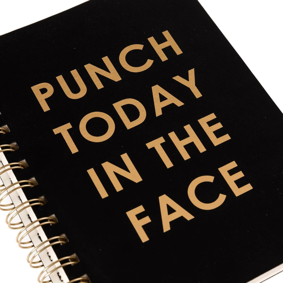 Self Care Punch 6 x 8 Spiral Vegan Leather Journal