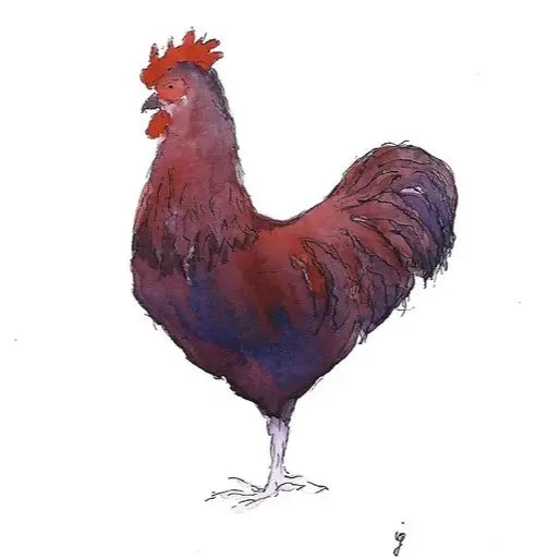 Rooster Greeting Card