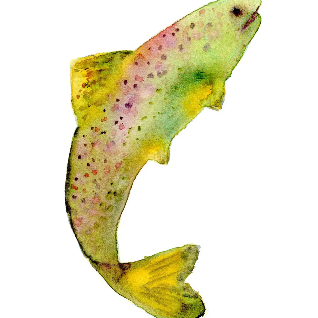 Salmon Greeting Card