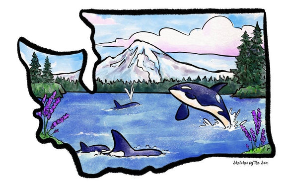 Washington State & Orcas Art Print