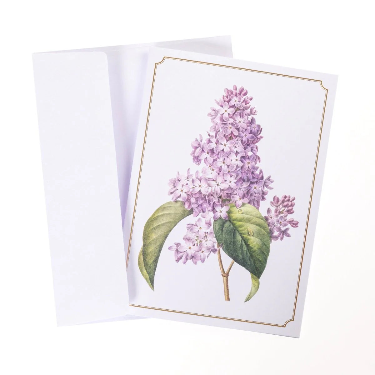 Vintage Floral Assorted Boxed Card