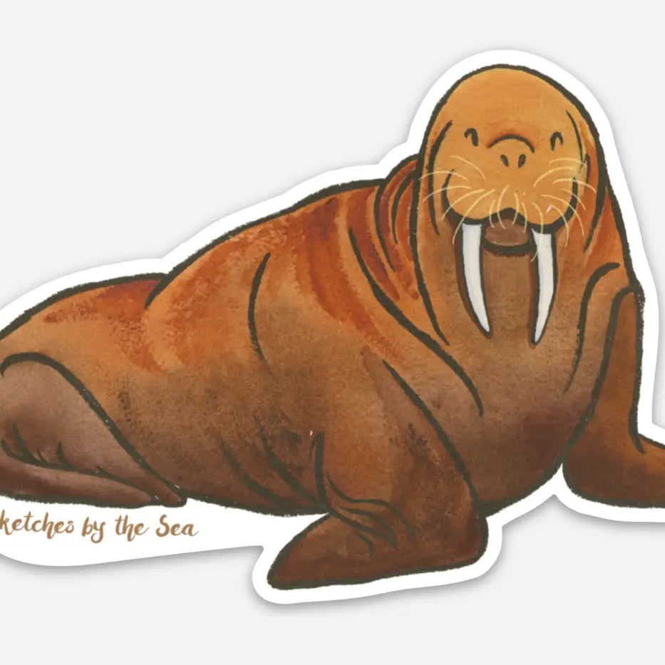 Walrus Sticker