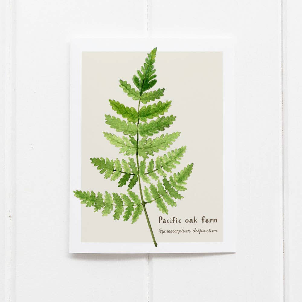 Fern Card - Botanical Everyday Greeting Card