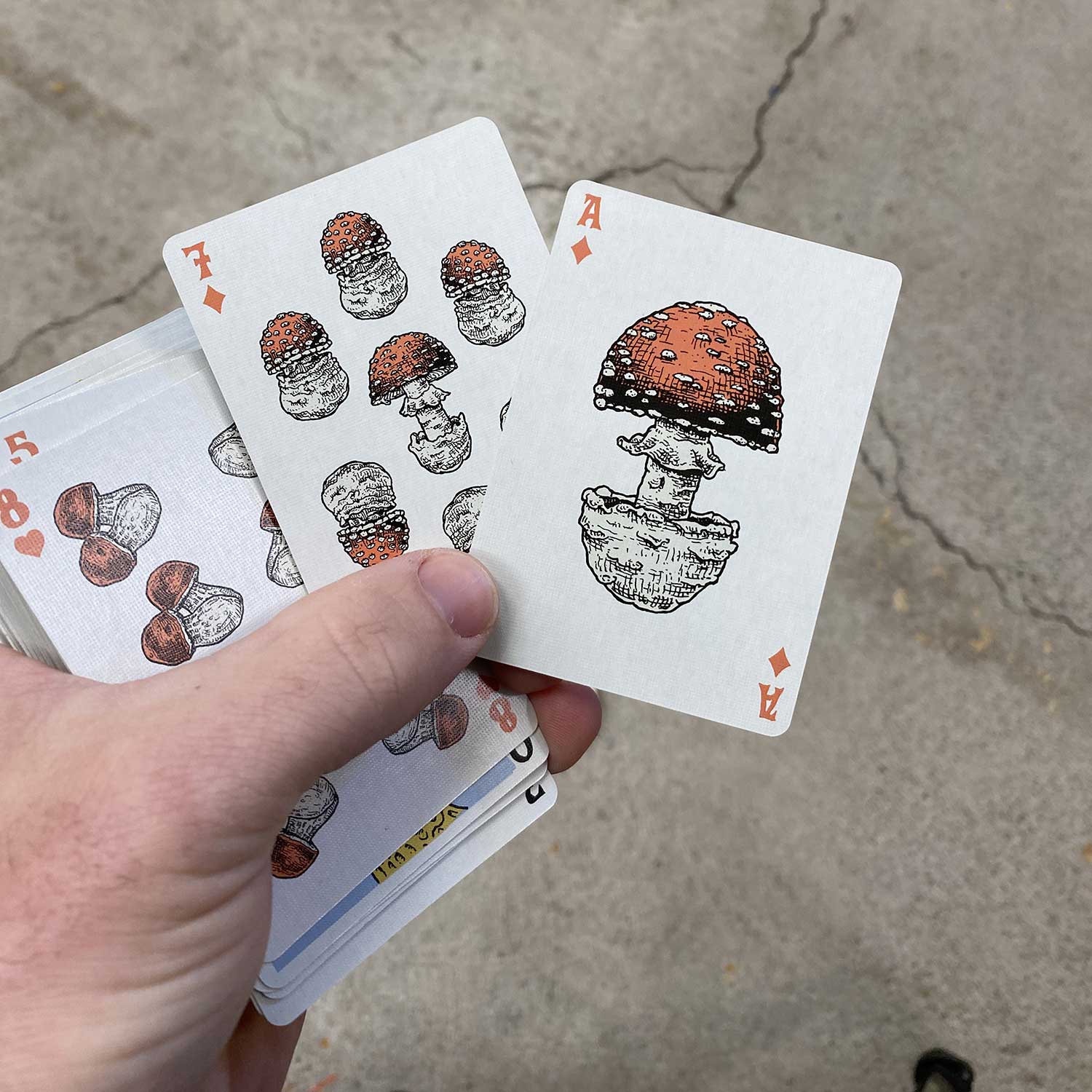 Holy Shrump! Mushroom Playing Cards: SINGLE DECK