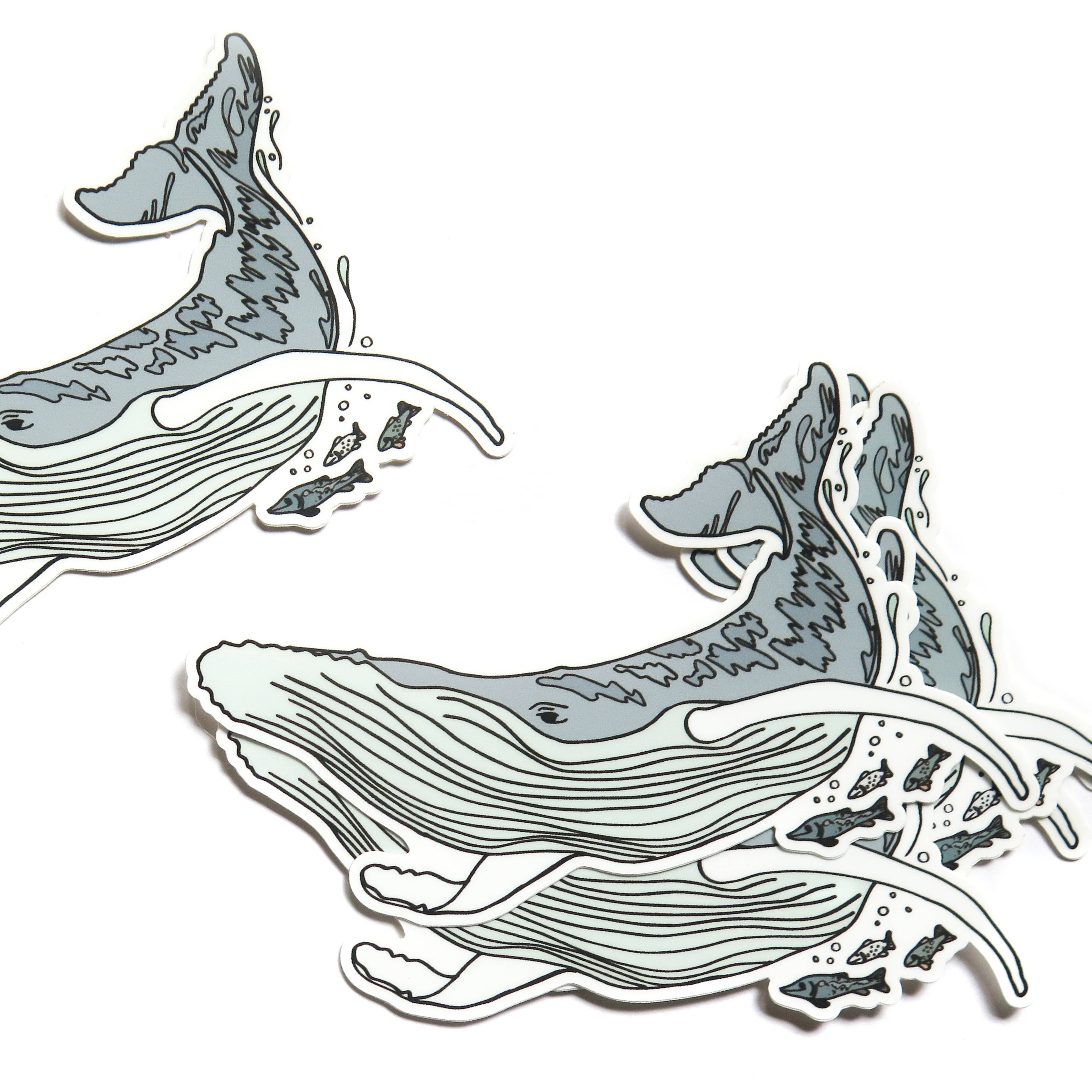 Whale Sticker